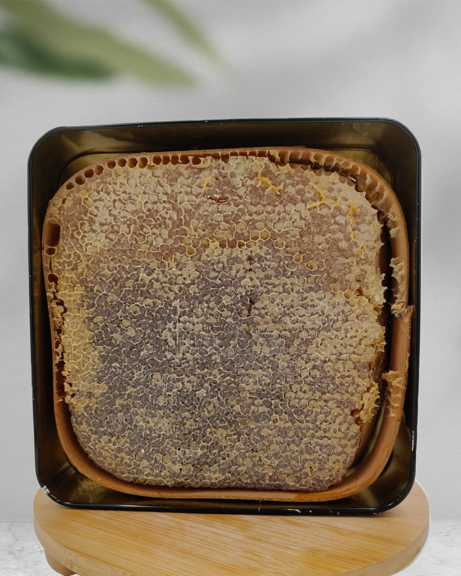 ŞEKERSİZ KARAKOVAN PETEK BAL (1500 Gr)