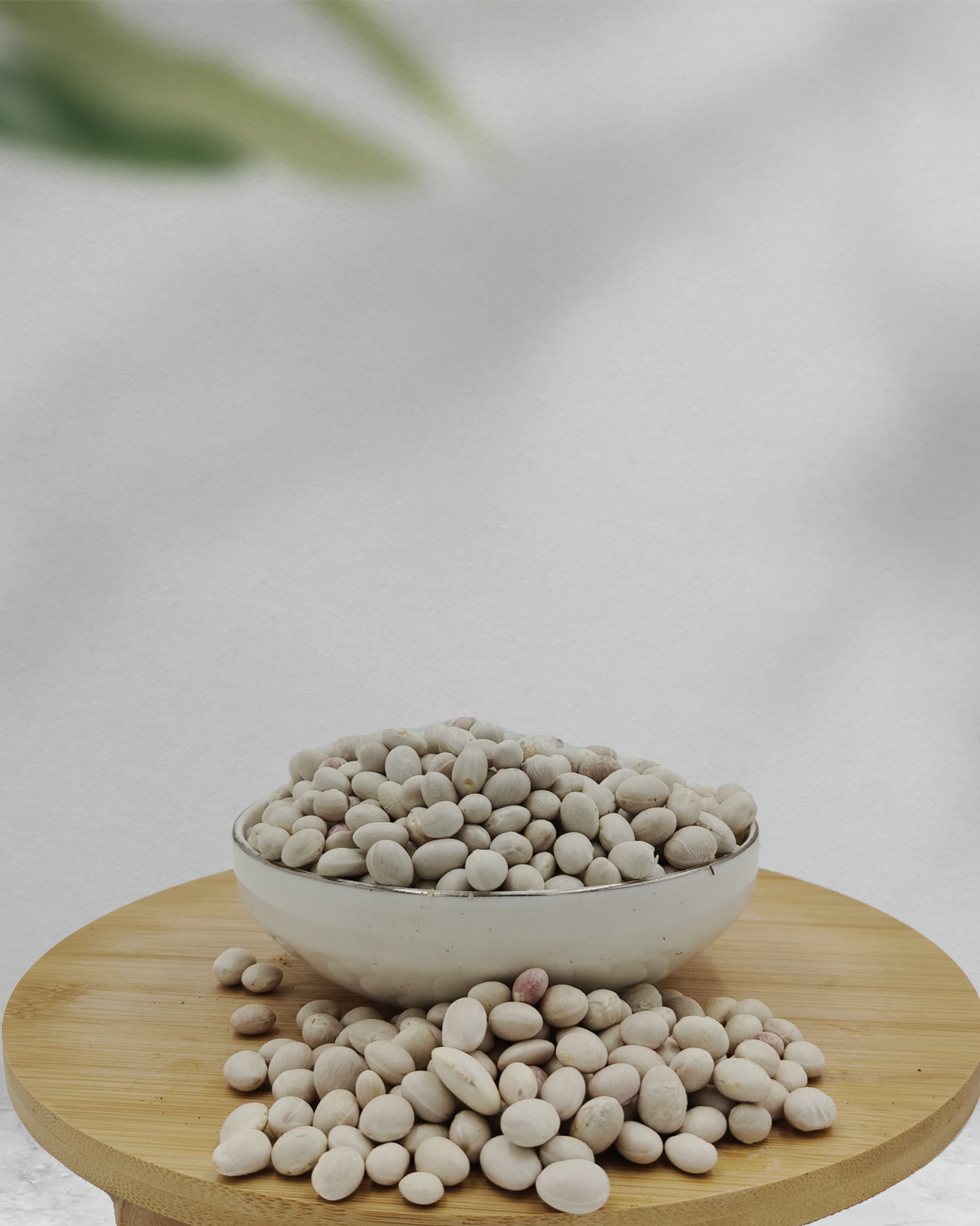 İSPİR FASULYESİ( İRİ BOY )