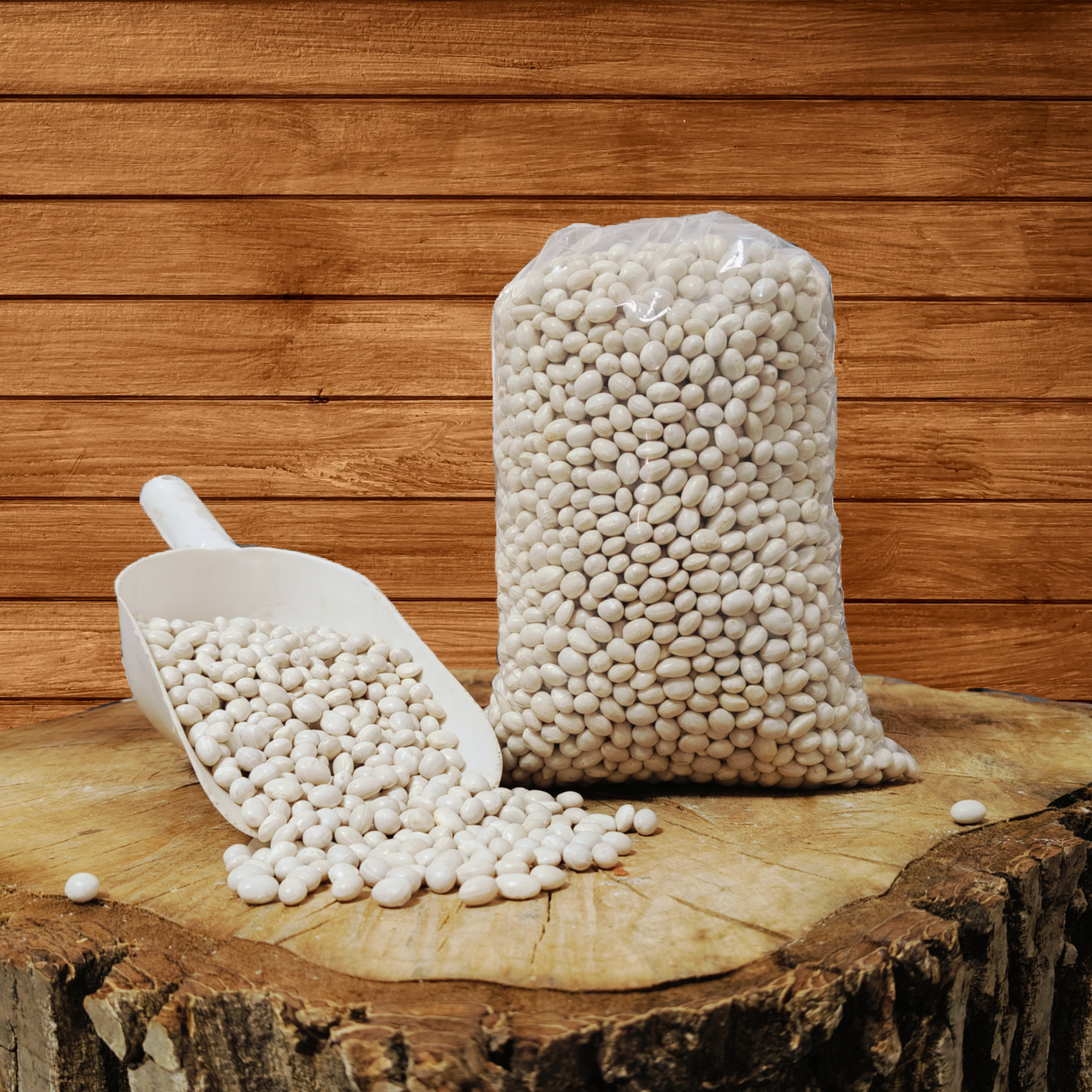 İSPİR FASULYESİ( İRİ BOY )