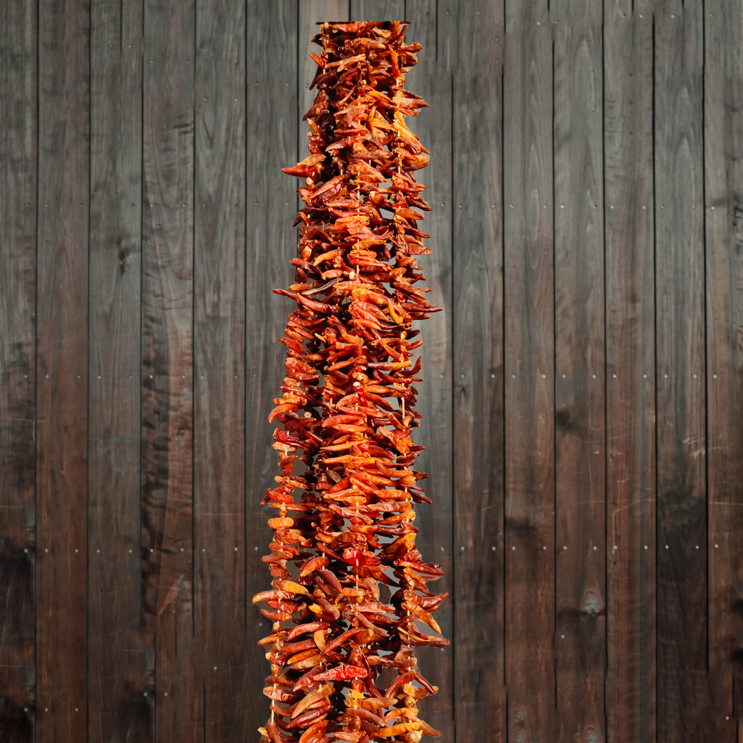 KURUTULMUŞ  ACİ SÜS BİBERİ