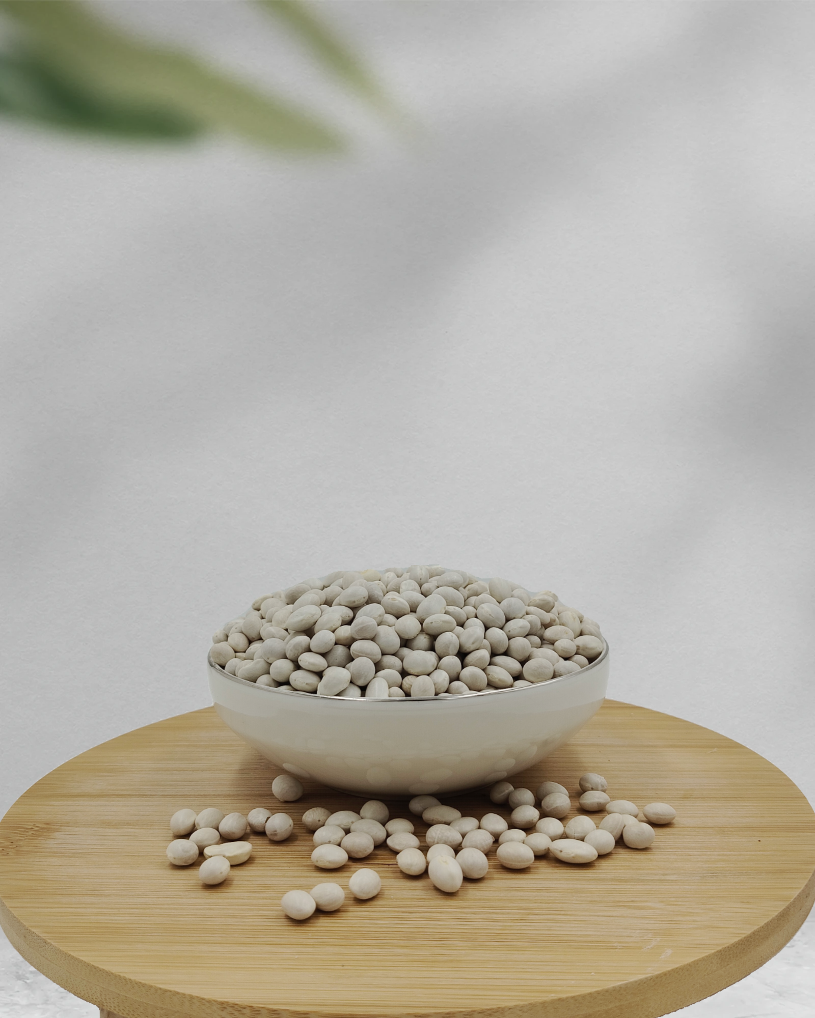 İSPİR FASULYESİ (KÜÇÜK BOY)