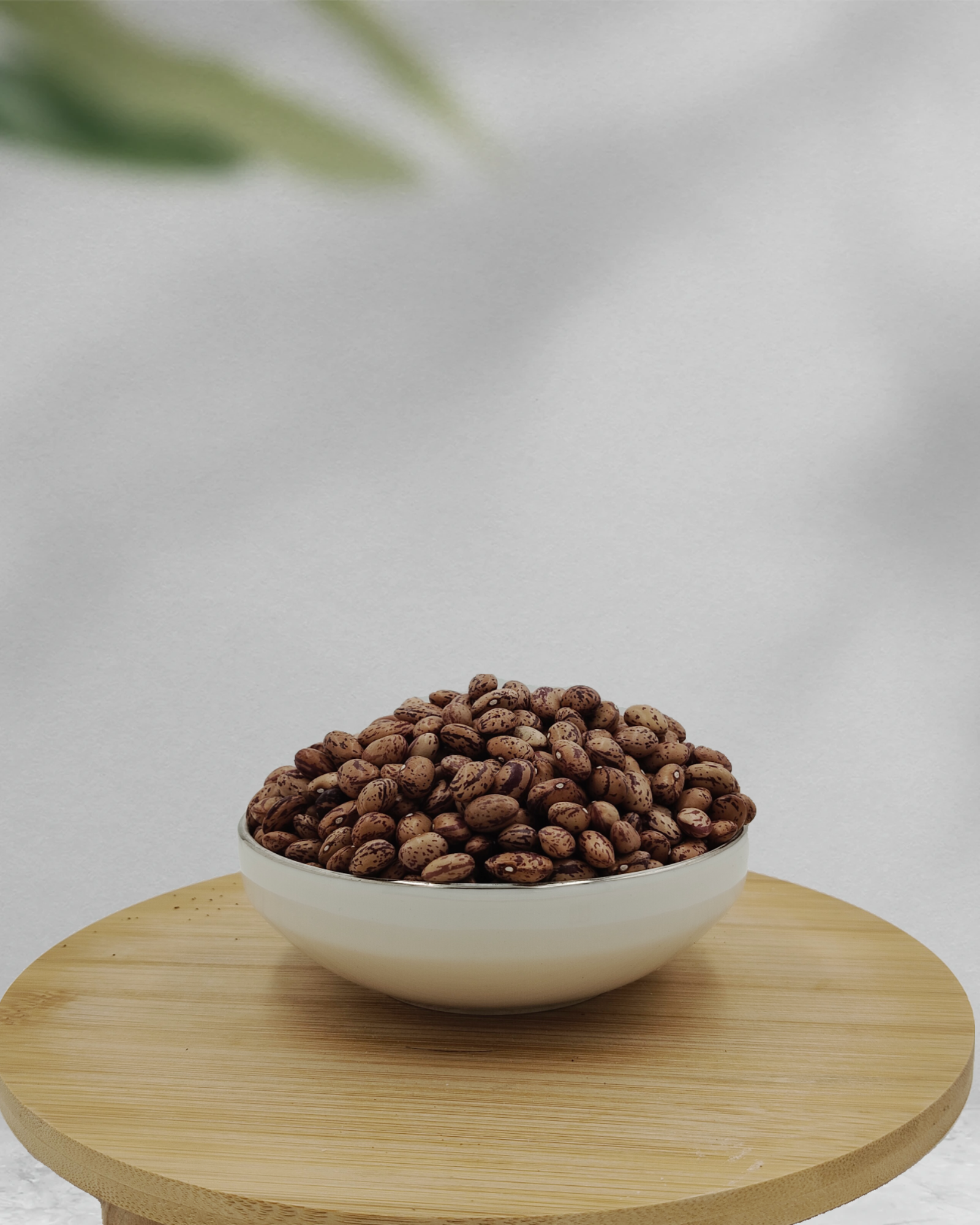 BARBUNYA-KIZINCIK FASULYESİ